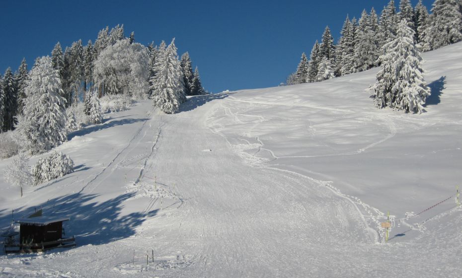 Rodeln in Götzis Rodeln in Götzis