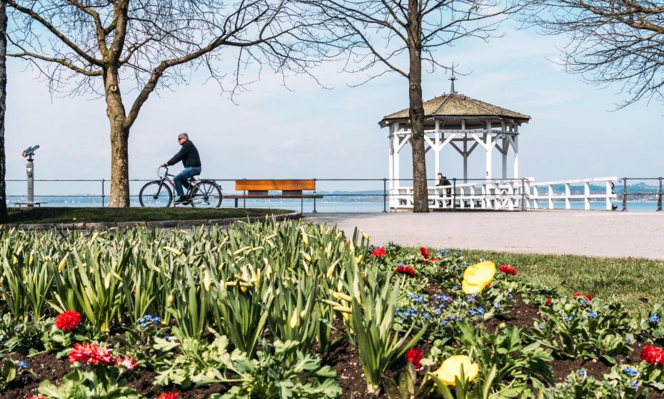 Frühling an der Seepromeande in Bregenz Frühling an der Seepromeande in Bregenz