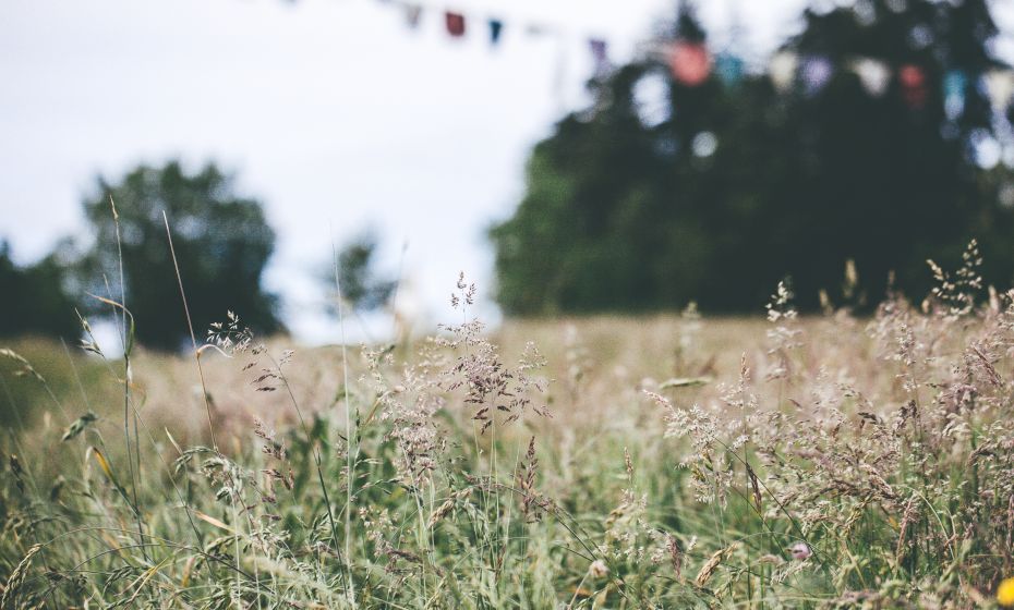 Feldkirch FrÃ¼hling
