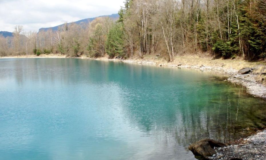Galinasee