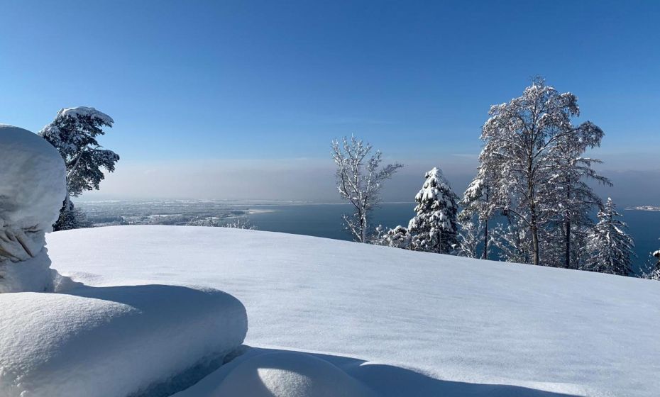 Seeblick Appartements Henle