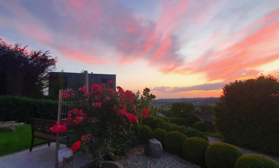 F E R I E N W O H N U N G "Am Halbenstein"