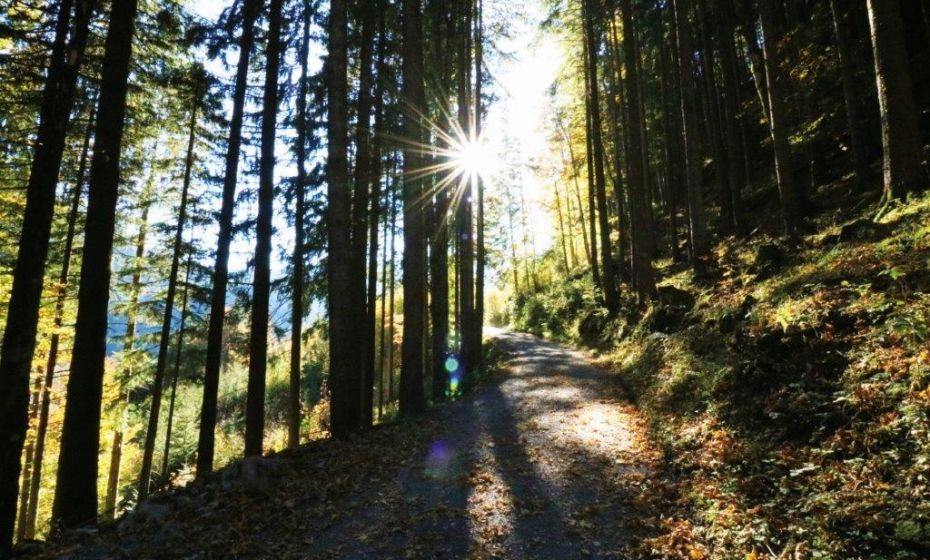 Karren - Staufenrunde