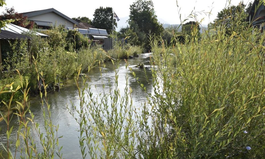 1. Abschnitt Renaturierung MÃ¼hlbach Ruhe- und Petanqueplatz