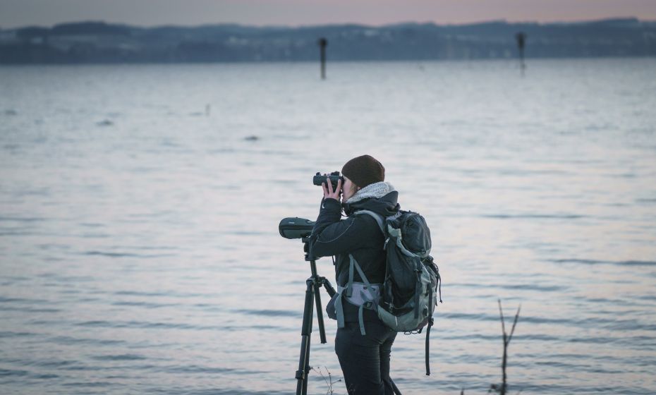 Birdwatching Rheinspitz Johanna Kronberger Birdwatching Rheinspitz Johanna Kronberger