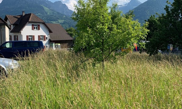 Wiese Sebastianskapelle Wiese Sebastianskapelle