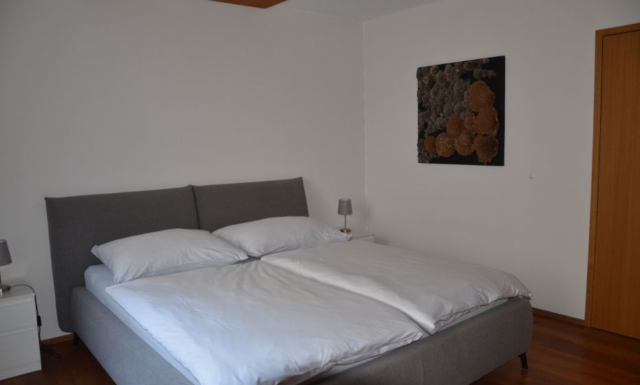 Loft in Seenähe im Herzen von Bregenz Loft in Seenähe im Herzen von Bregenz