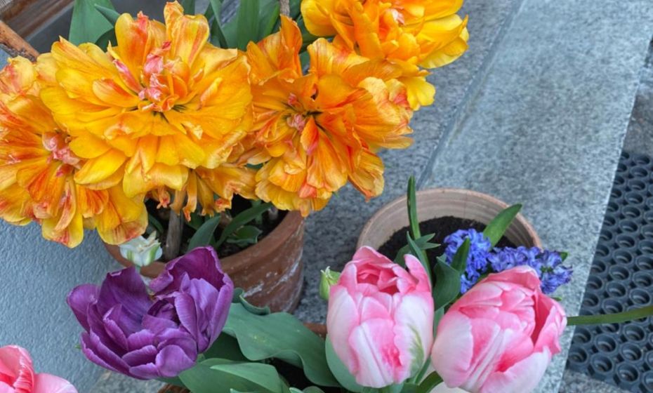 mama kÃ¤the - Apartments