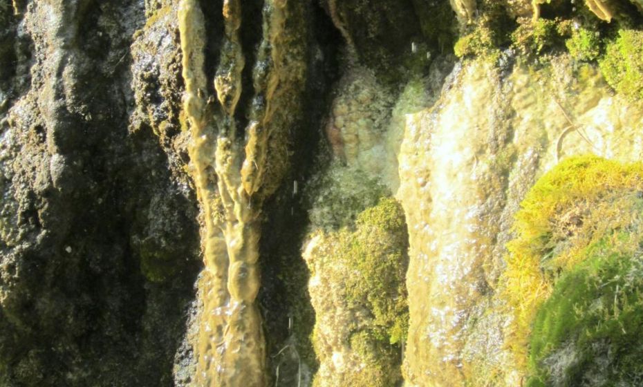 Ferienhaus Haus im Garten