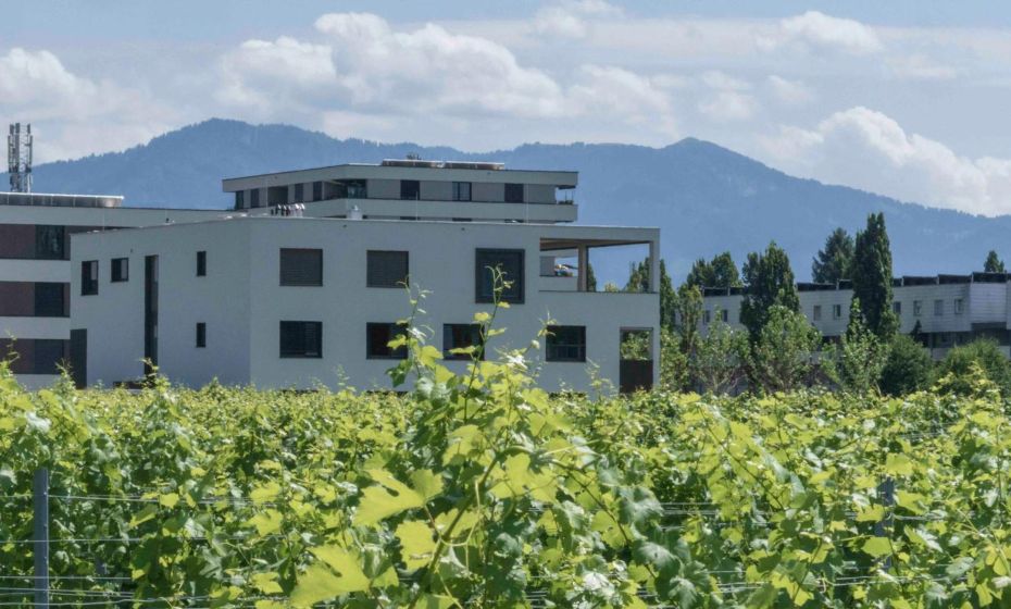 WELCOME 73m2 Ferienwohnung 10 Min. zum Bodensee WELCOME 73m2 Ferienwohnung 10 Min. zum Bodensee