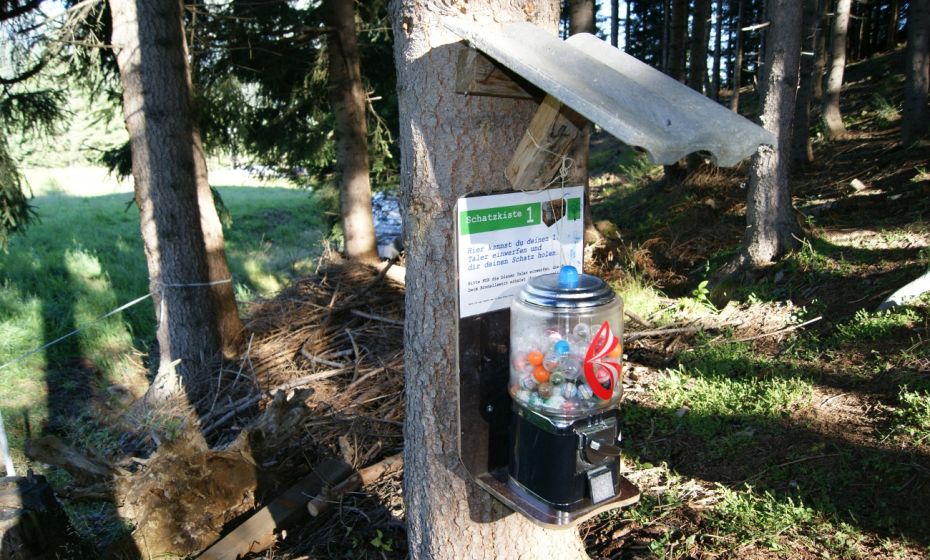 Graf Hugo Schatzsuche