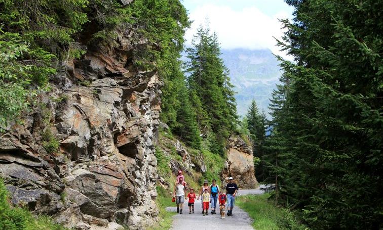 Wandergruppe auf dem Weg zum Wildried