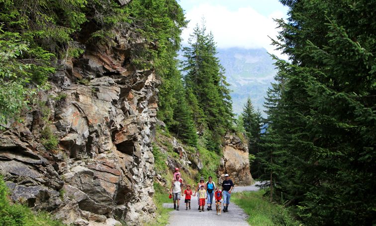 Wandergruppe auf dem Weg zum Wildried Wandergruppe auf dem Weg zum Wildried