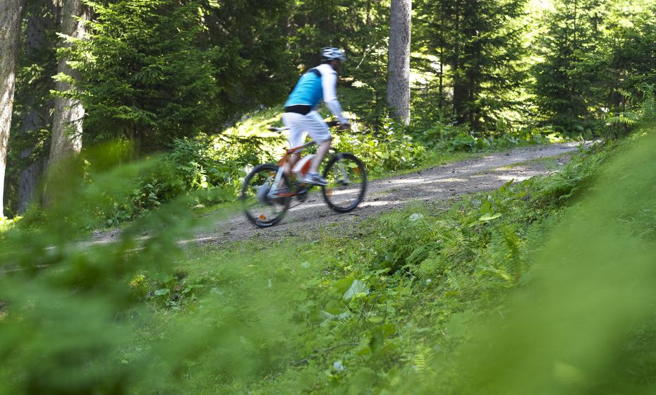 Unterwegs in Bartholomäberg Unterwegs in Bartholomäberg