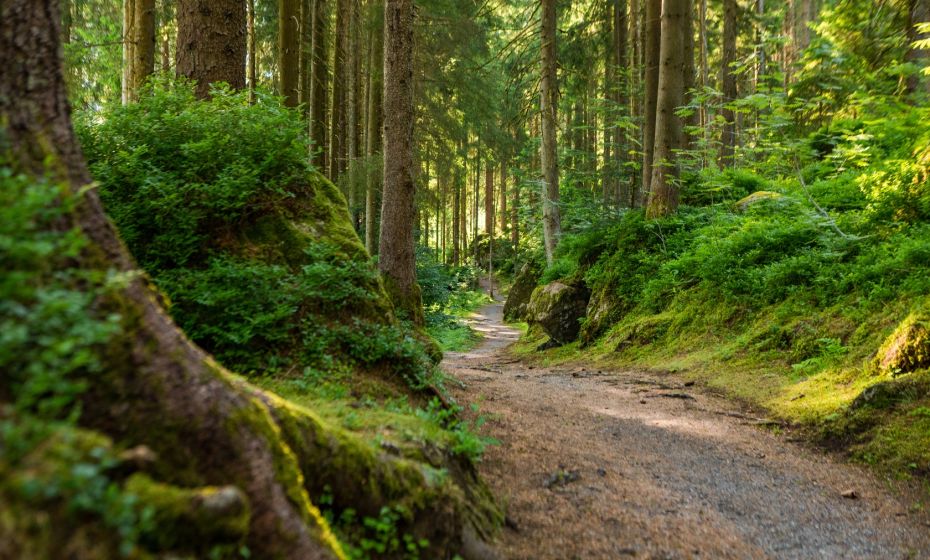 Talweg von St. Gallenkirch nach Partenen