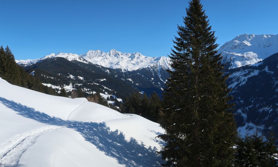 __NO_NAME__ __NO_NAME__