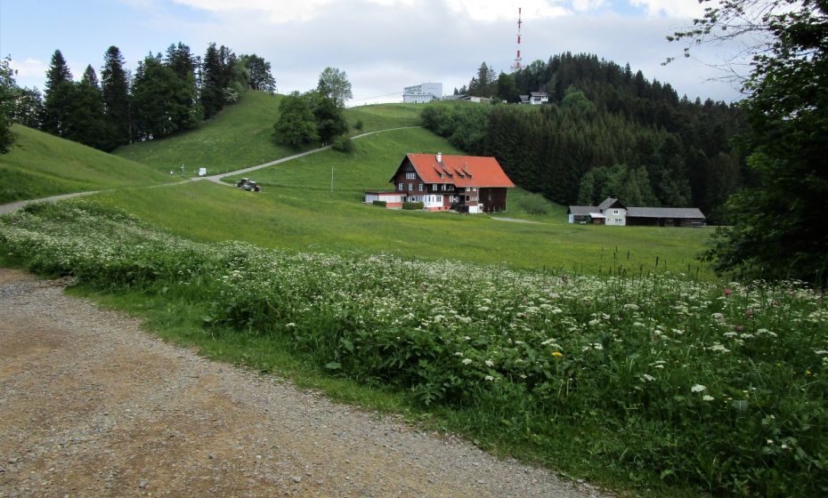 Blick zurÃ¼ck Ã¼ber den Gasthof PfÃ¤nderdohle auf den PfÃ¤nder.