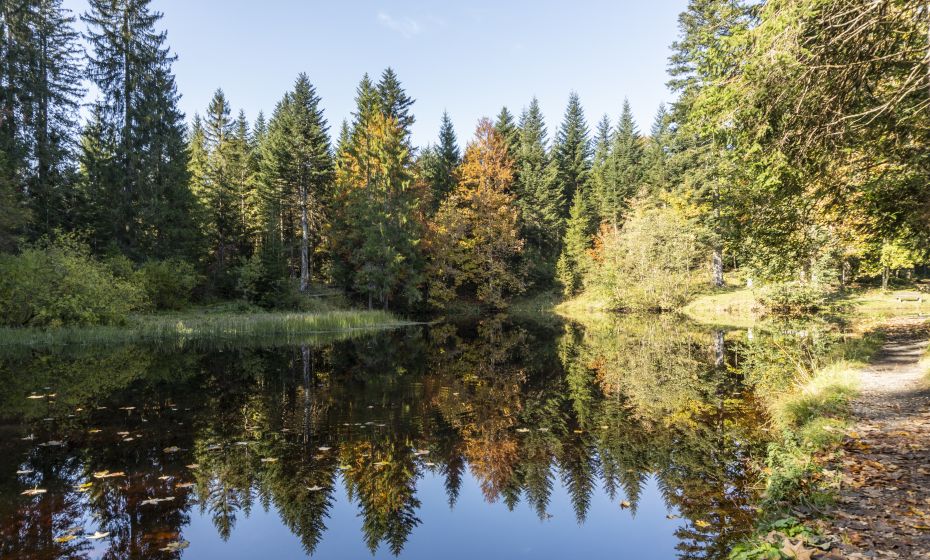 Bödelesee im Herbst Bödelesee im Herbst