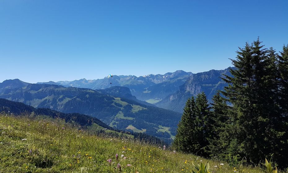 Aussicht in den Bregenzerwald auf Baumgarten Aussicht in den Bregenzerwald auf Baumgarten