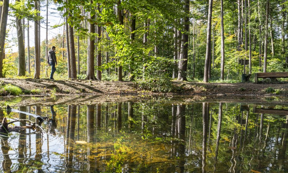 Wildpark Feldkirch SautrÃ¤nke