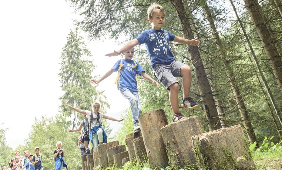 Patrick Säly - Gemeinde Silbertal Holzpflockstiege