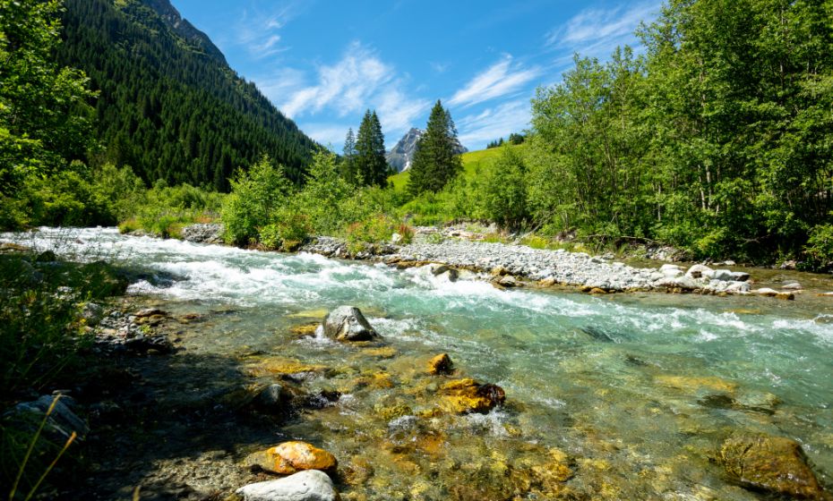 __NO_NAME__ __NO_NAME__