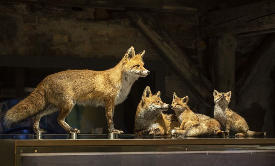 inatura Wies&Wald inatura Wies&Wald