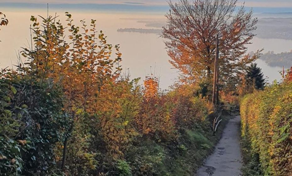 F E R I E N W O H N U N G "Am Halbenstein"