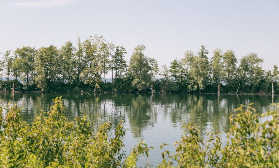 Hard Grüner Damm Hard Grüner Damm