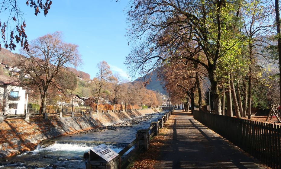 Julia Eckert .jpg.jpeg