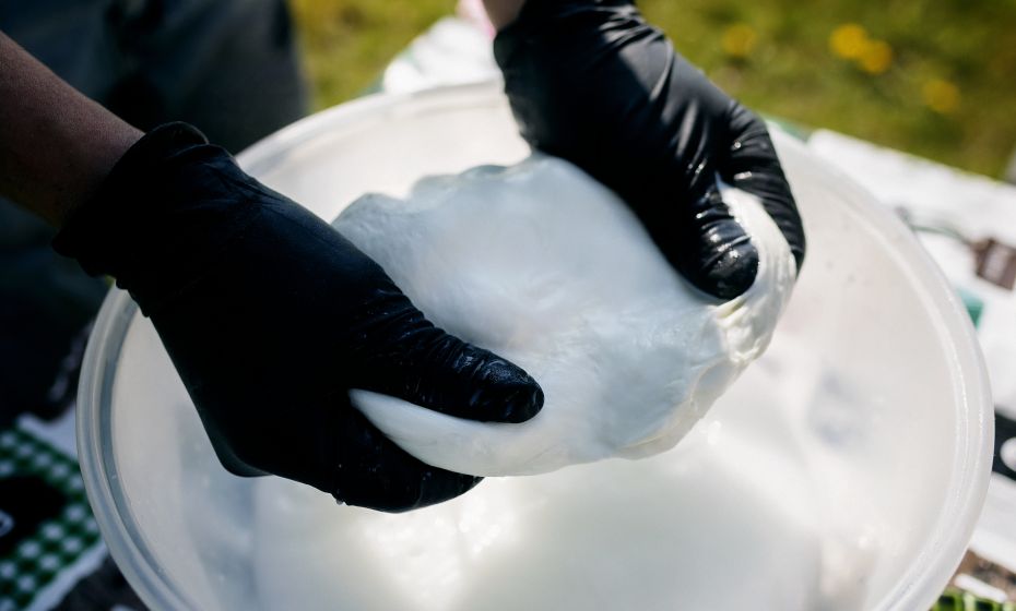 Heldernhof HÃ¶chst (c) - _matakstudios, Bodensee-Vorarlberg Tourismus (2).jpg