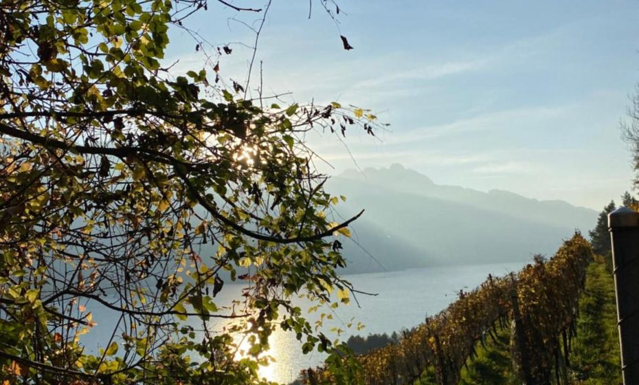 KopfRausch Appartements