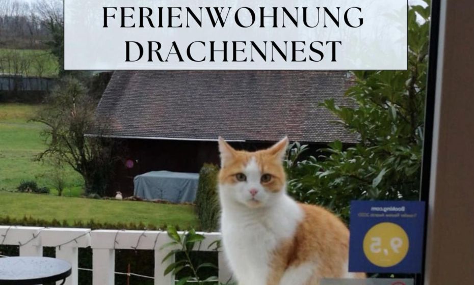 Ferienwohnung Drachennest mit Sonnenterrasse Ferienwohnung Drachennest mit Sonnenterrasse