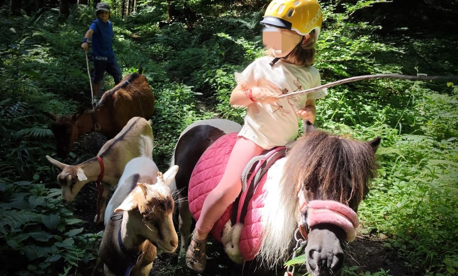 hufwÃ¤rts ponytrekking 6.jpg