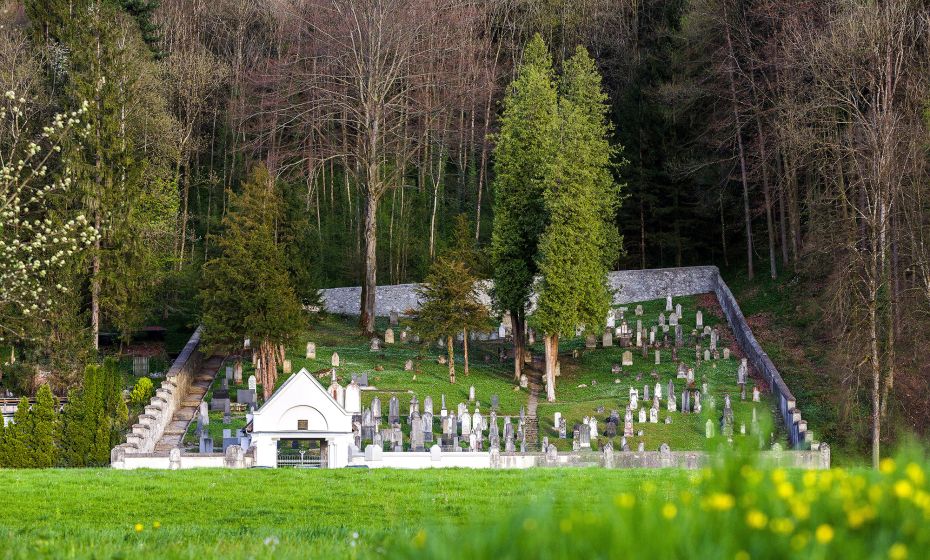 Juedischer_Friedhof5_Foto_DietmarWalser_2015_web.jpg