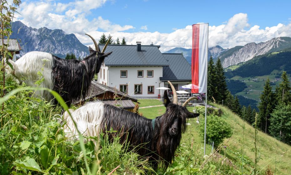 Berggasthof Grabs Berggasthof Grabs