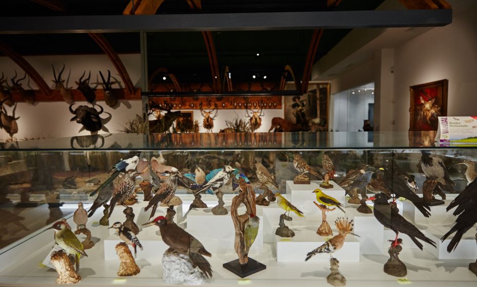 Arche Noah Museum