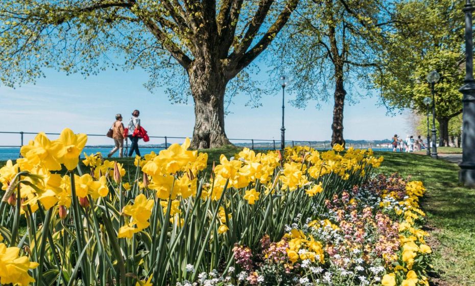 Seeblick Bregenz - mit Parkgarage Seeblick Bregenz - mit Parkgarage