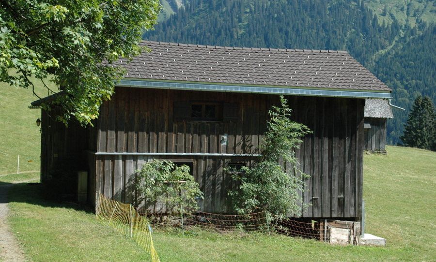 Ferienhütte "Birihof" - Kofler, Laterns Ferienhütte "Birihof" - Kofler, Laterns
