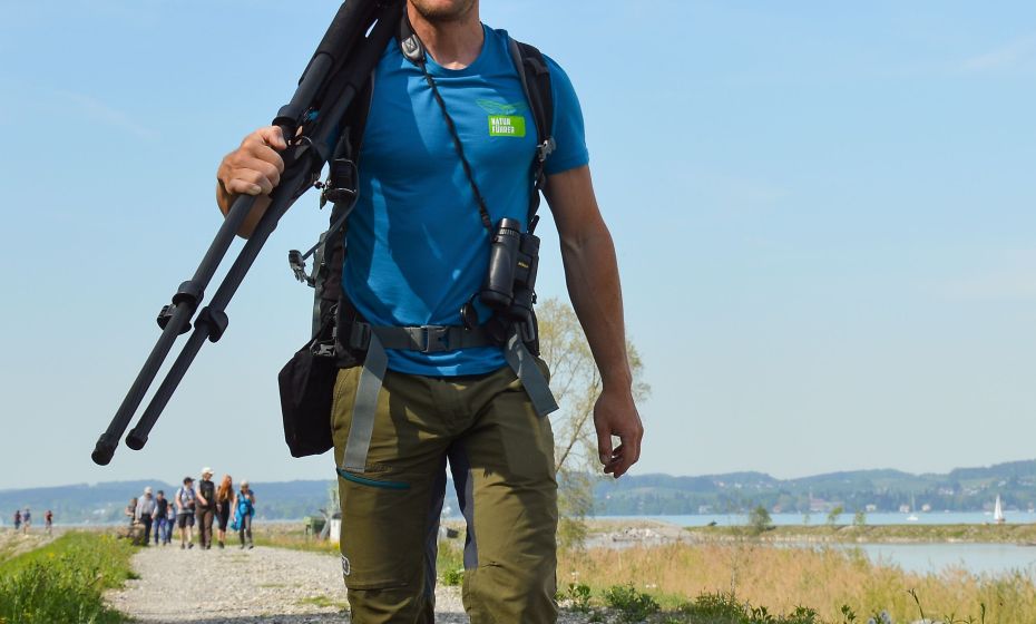 Birdwatching Rheindelta Birdwatching Rheindelta
