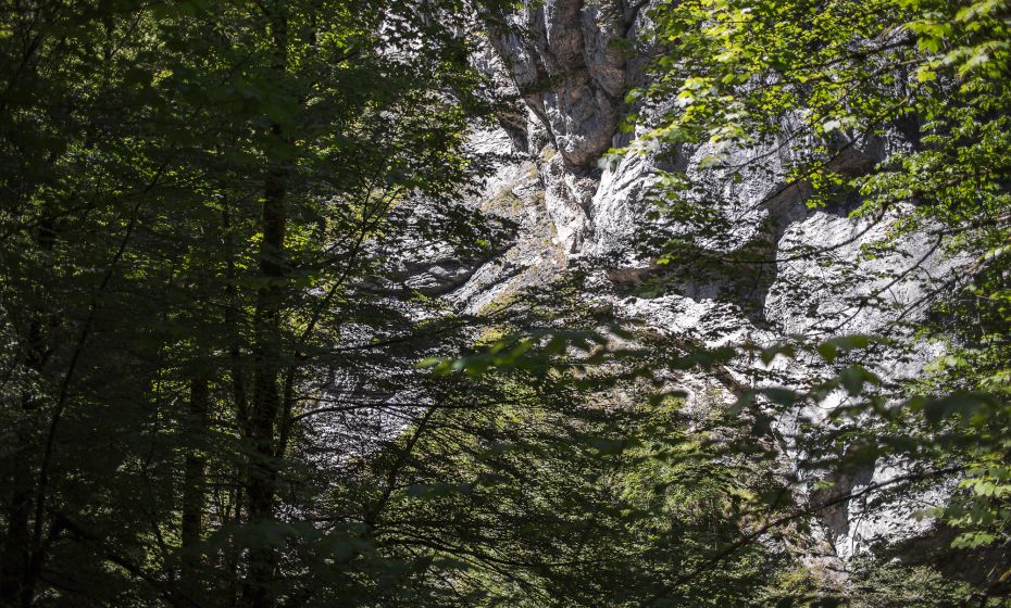 Alplochschlucht Alplochschlucht