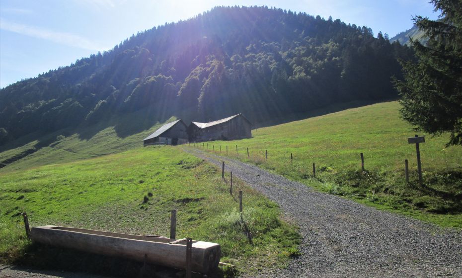 Kurz nach der Unteren Leuealpe wandern sie an der Unteren Probstalpe vorbei Kurz nach der Unteren Leuealpe wandern sie an der Unteren Probstalpe vorbei