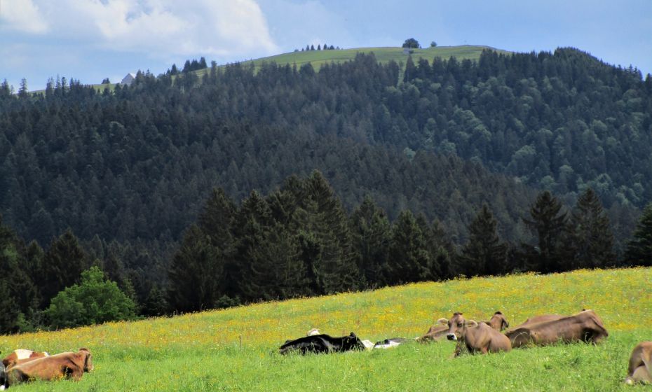 Erich Zucalli - www.guideservice.at Zum Abschied noch ein Blick zurück auf den Hirschberg