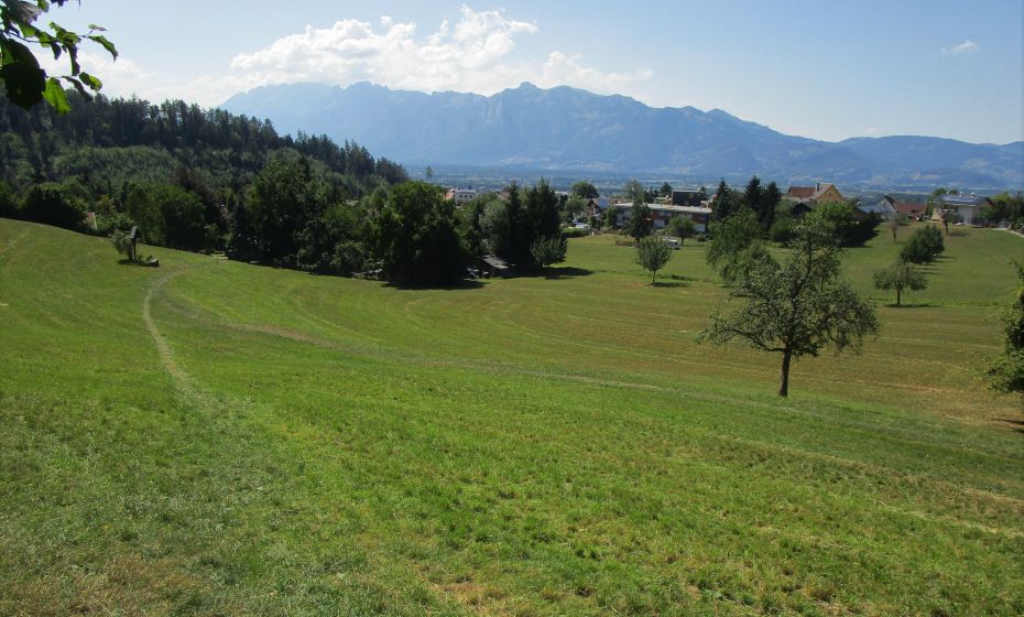 Wiesenweg mit Wegekreuz als Teil des Walserweges durch Batschuns