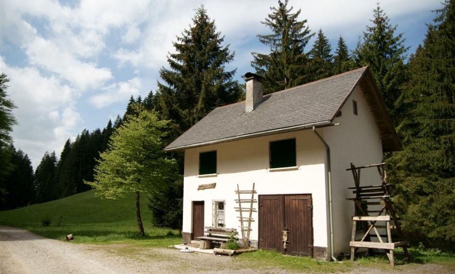 Vorarlberg Rundweg Old steam-powered sawmill