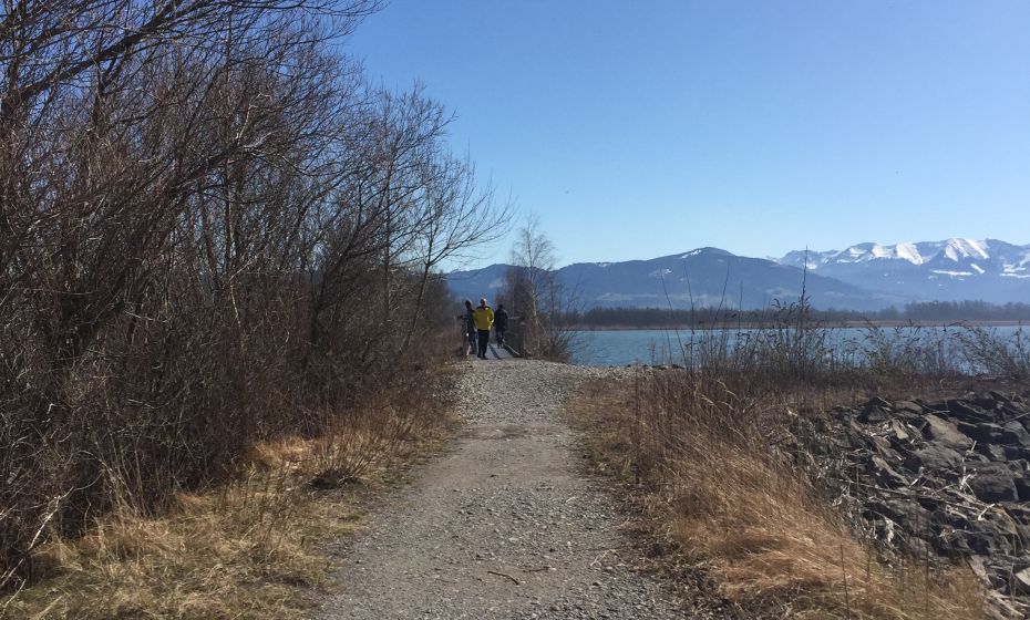 Bodensee-Vorarlberg Tourismus Lagunenrundweg