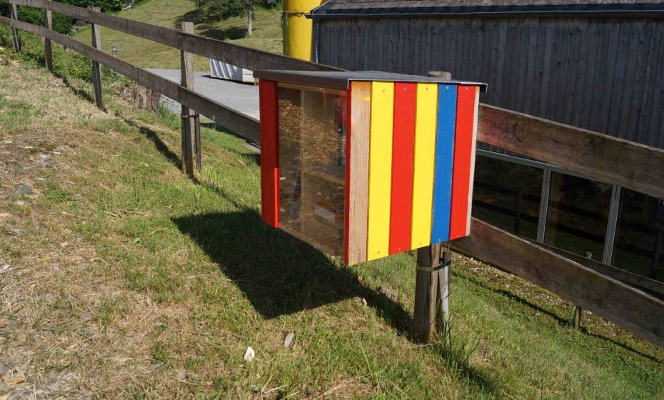 BÃ¼cherkasten Bildstein