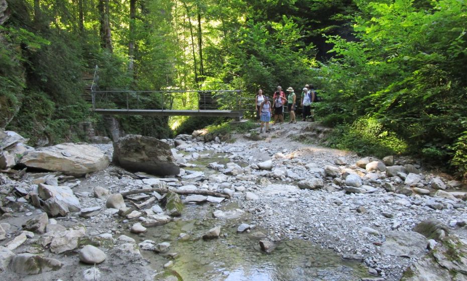 Dieser schattige Platz am Emmebach bietet sich fÃ¼r eine Rast an. Wir haben Wassertiere mit der Becherlupe gefangen und bestimmt.