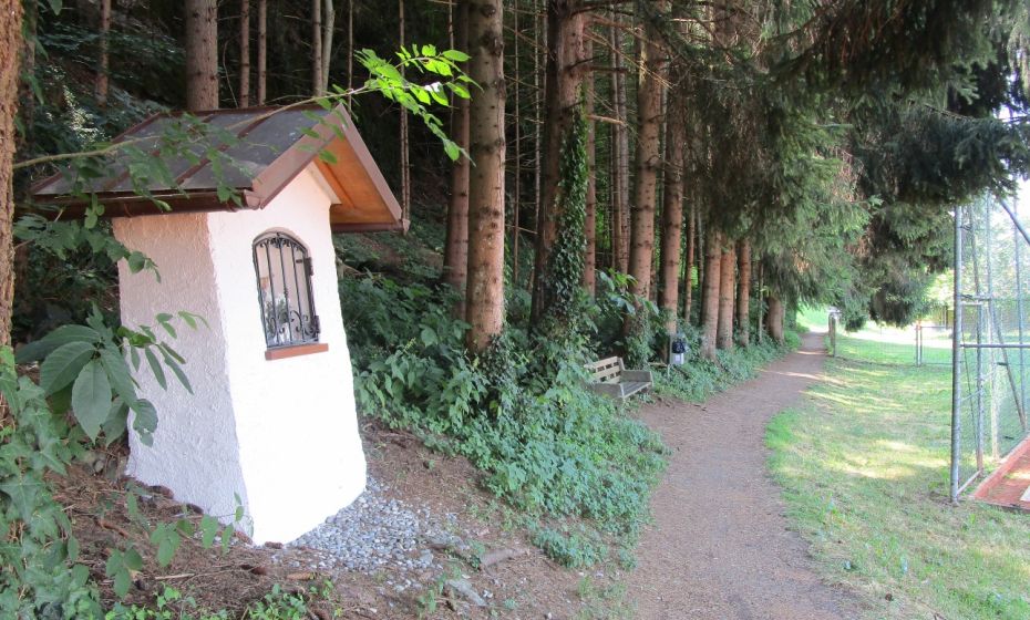 .... immer schÃ¶n schattig entlang des Waldrandes, ....