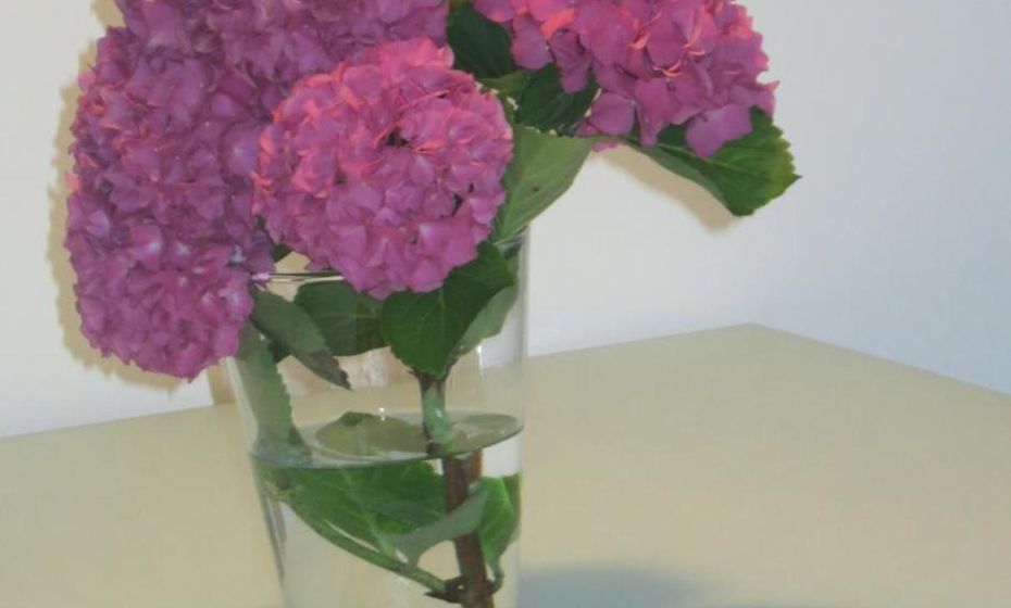 Ferienhaus Ritter Ferienhaus Ritter